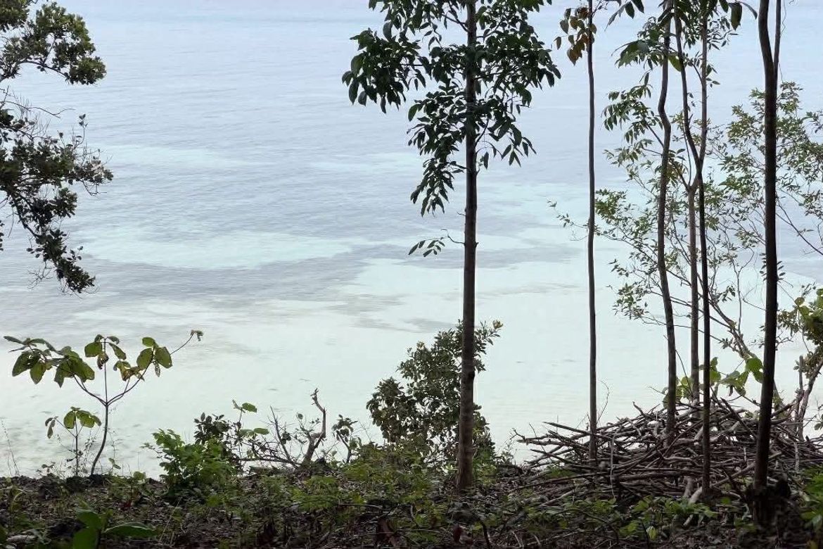 Land for Sale in Cang-Agong, Siquijor, Siquijor – photo 4
