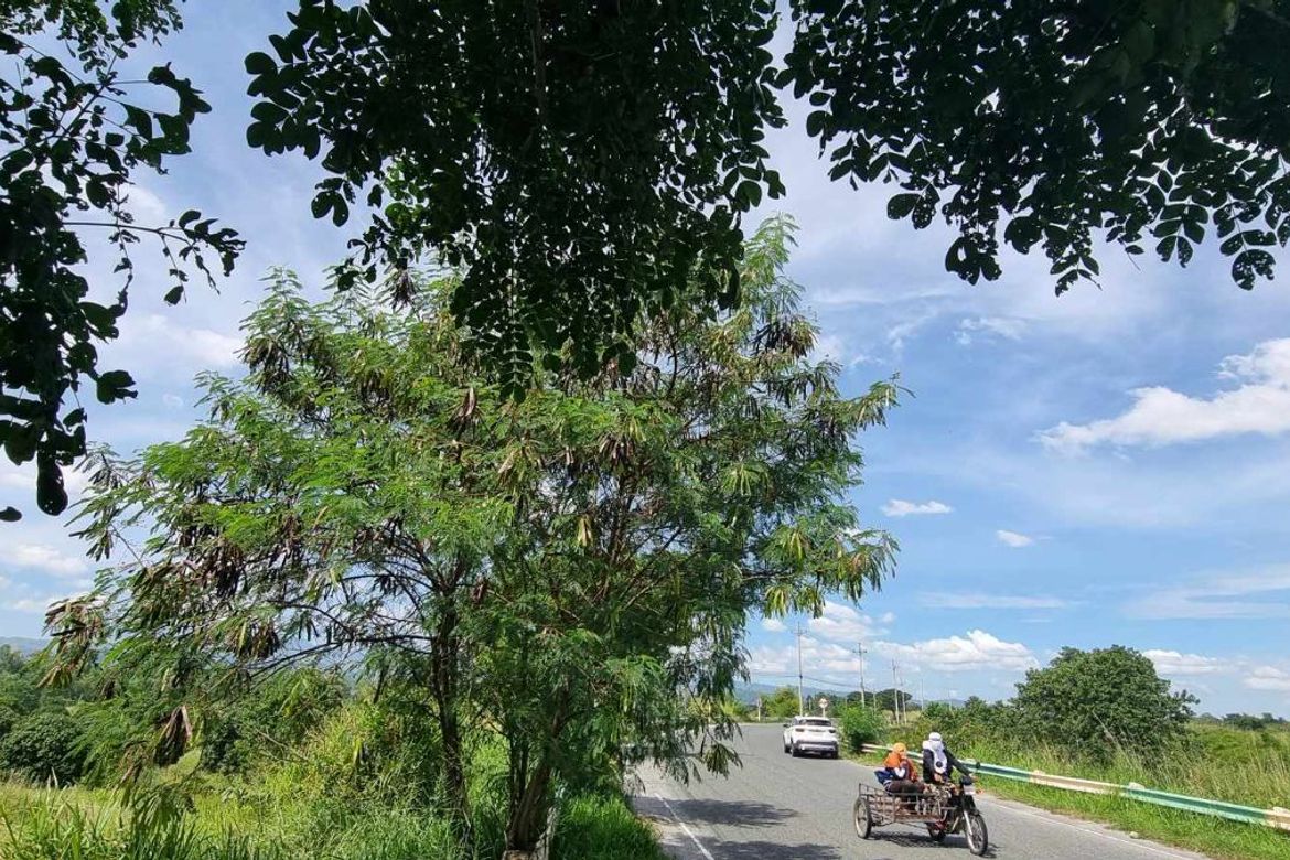 Land for Sale in Cangatba, Porac, Pampanga – photo 4
