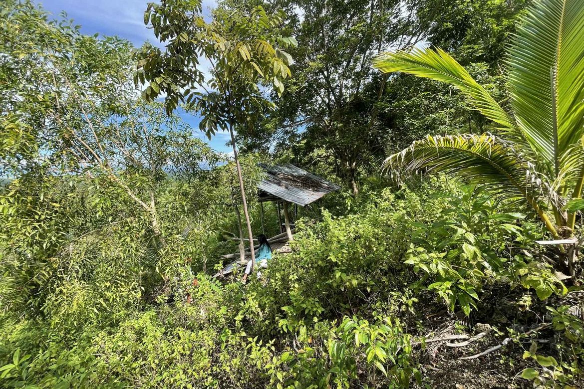 Land for Sale in Cangmohao, Siquijor, Siquijor – photo 2