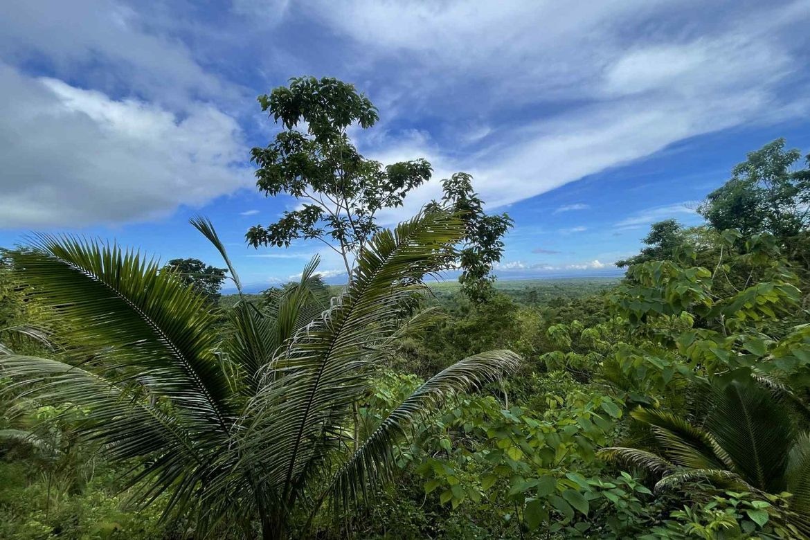 Land for Sale in Cangmohao, Siquijor, Siquijor – photo 3