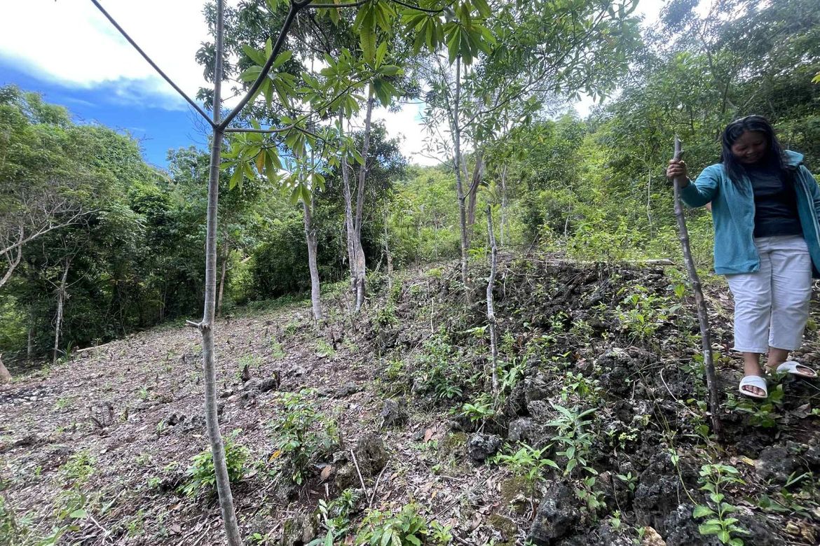 Land for Sale in Cangmohao, Siquijor, Siquijor – photo 4