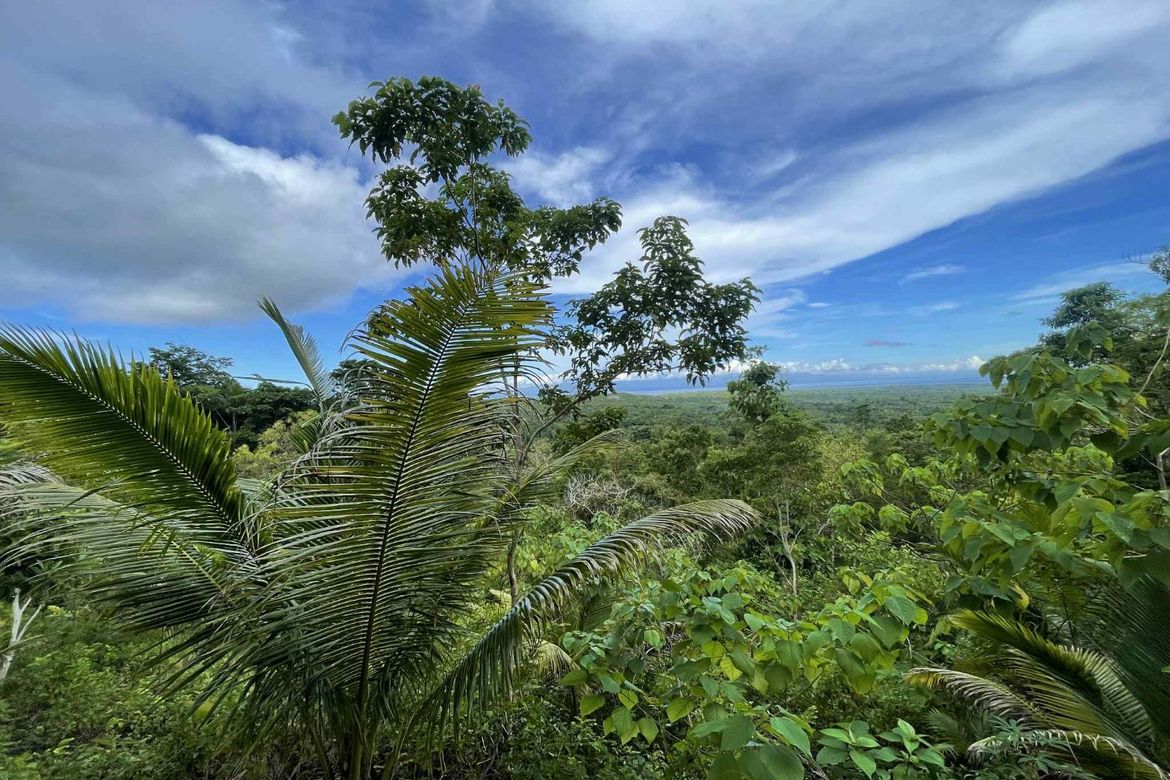 Land for Sale in Cangmohao, Siquijor, Siquijor – photo 7