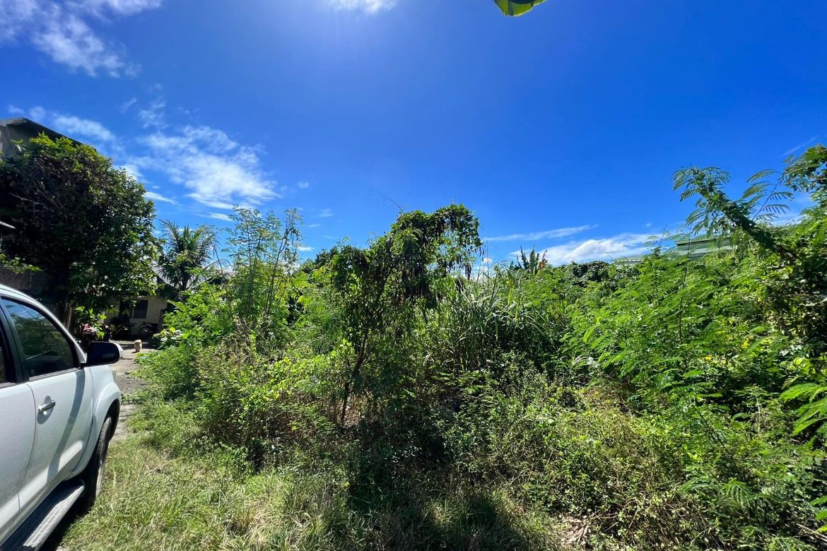 Land for Sale in Canjulao, Lapu-Lapu, Cebu – photo 2