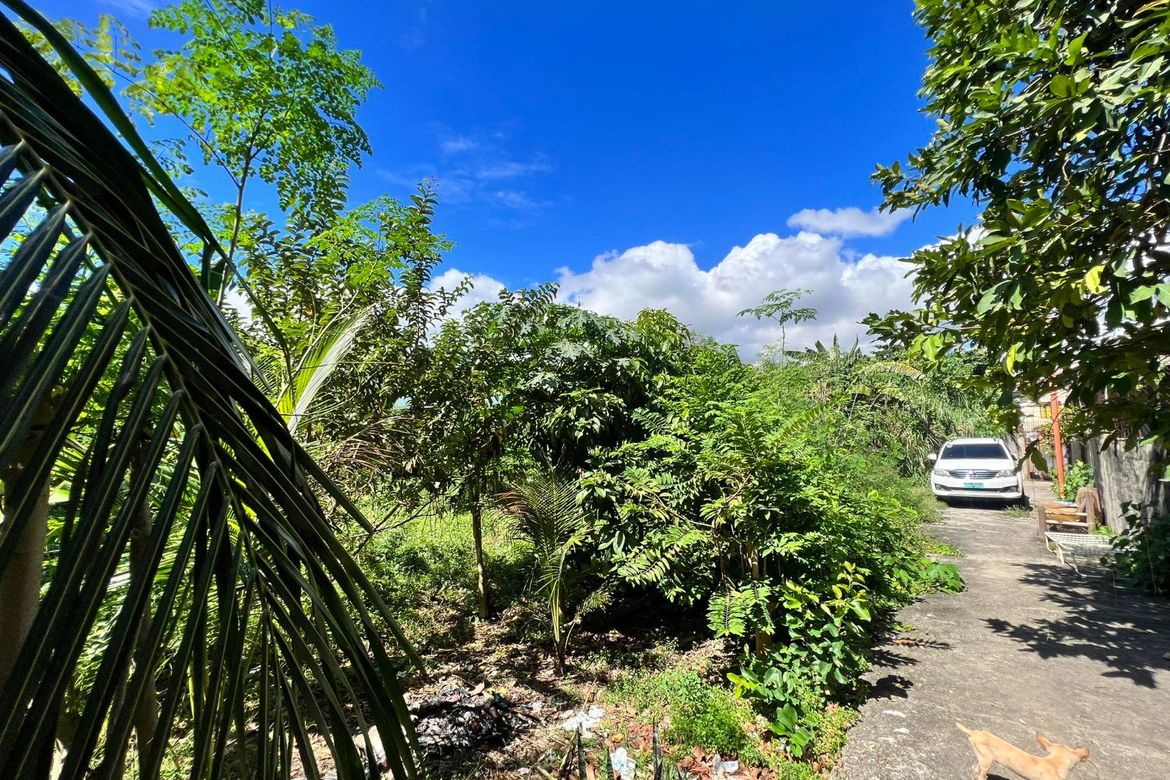 Land for Sale in Canjulao, Lapu-Lapu, Cebu – photo 3