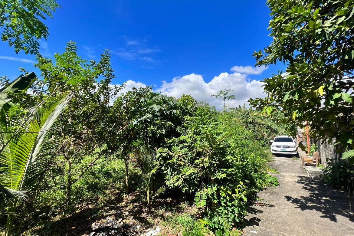 Land for Sale in Canjulao, Lapu-Lapu, Cebu – photo 5