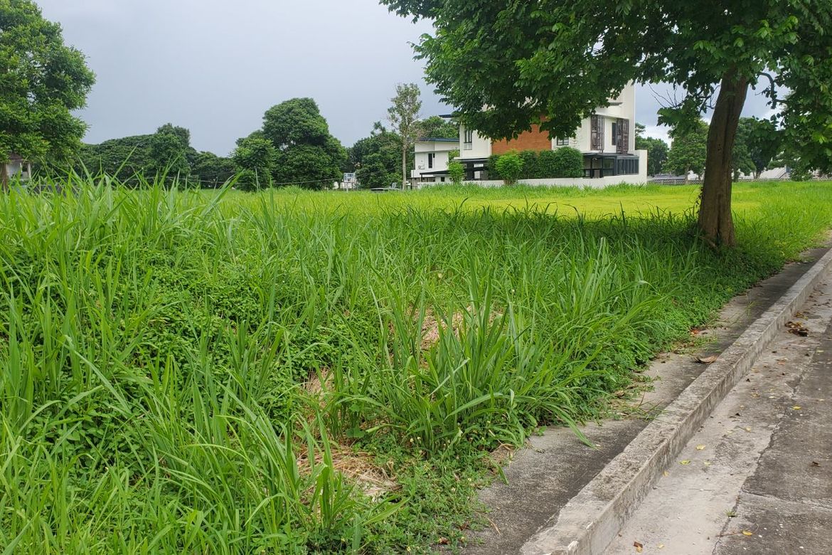 Land for Sale in Canlubang, Calamba, Laguna – photo 2