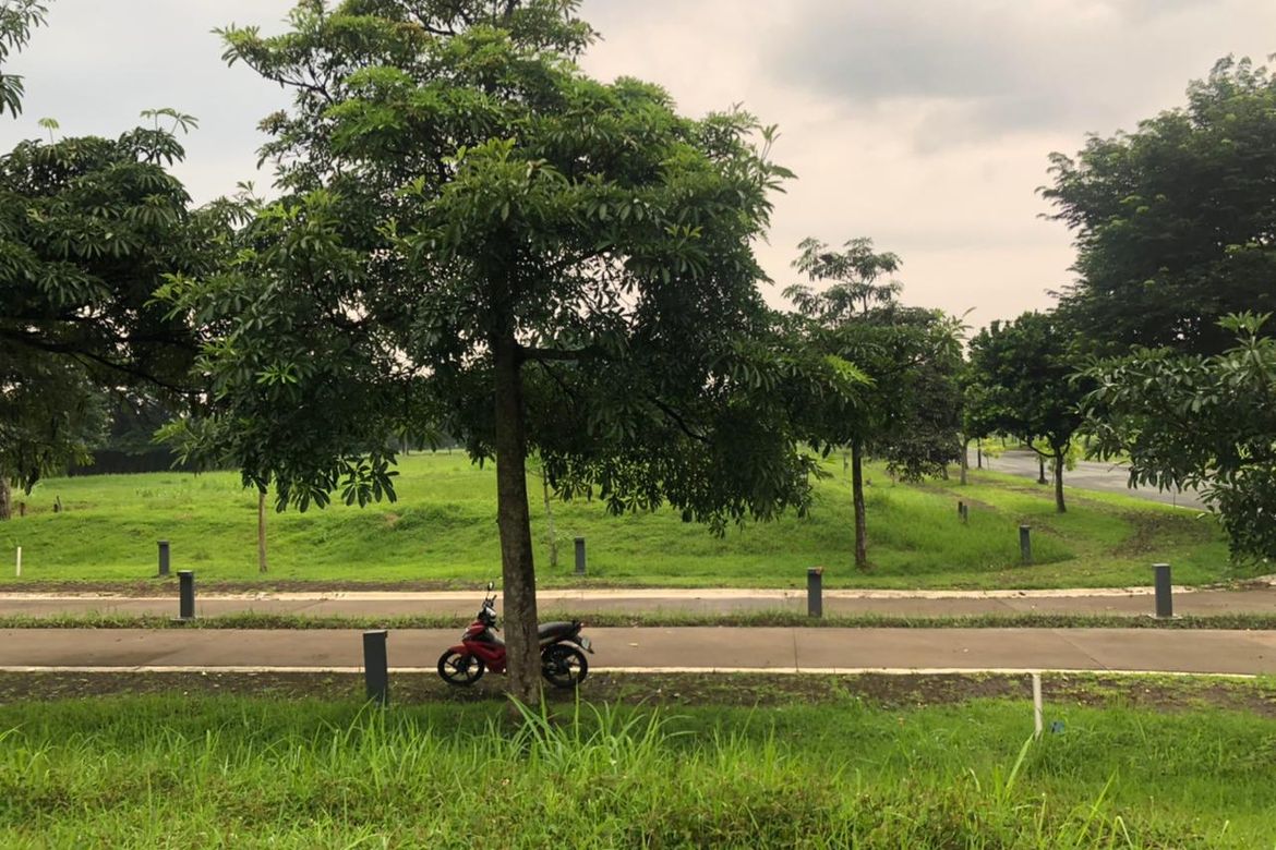 Land for Sale in Canlubang, Calamba, Laguna – photo 7