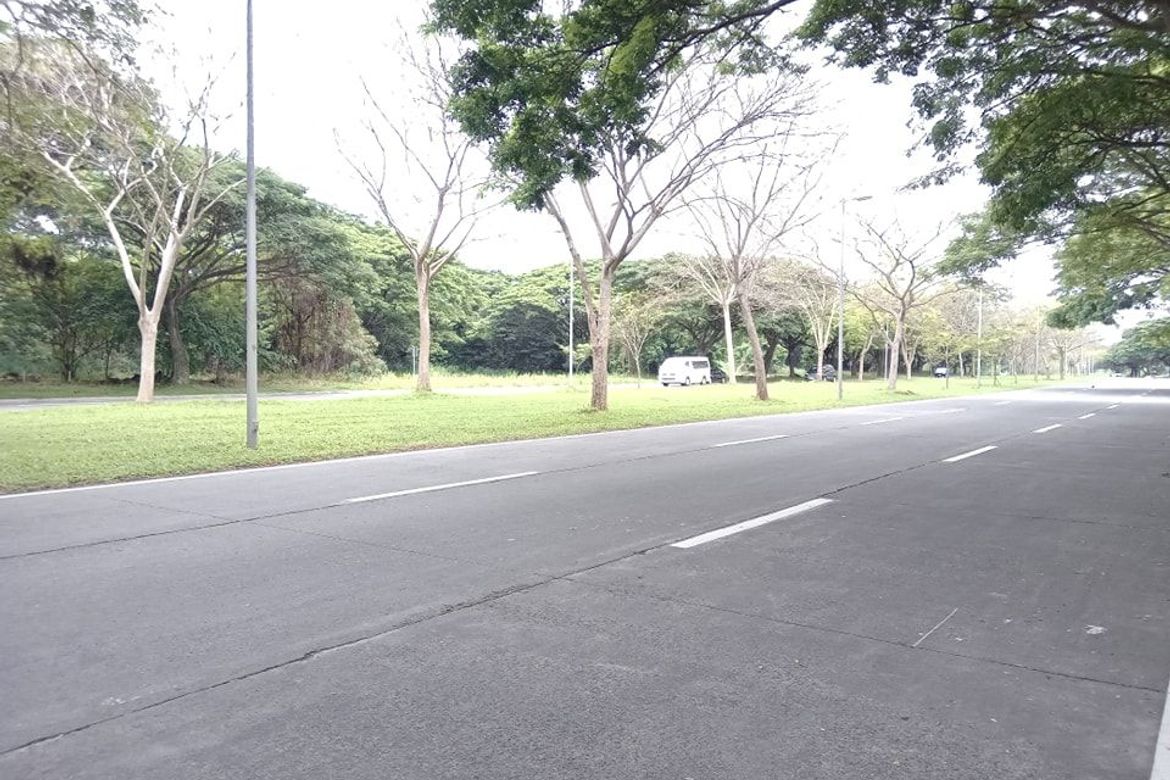 Land for Sale in Canlubang, Calamba, Laguna – photo 6