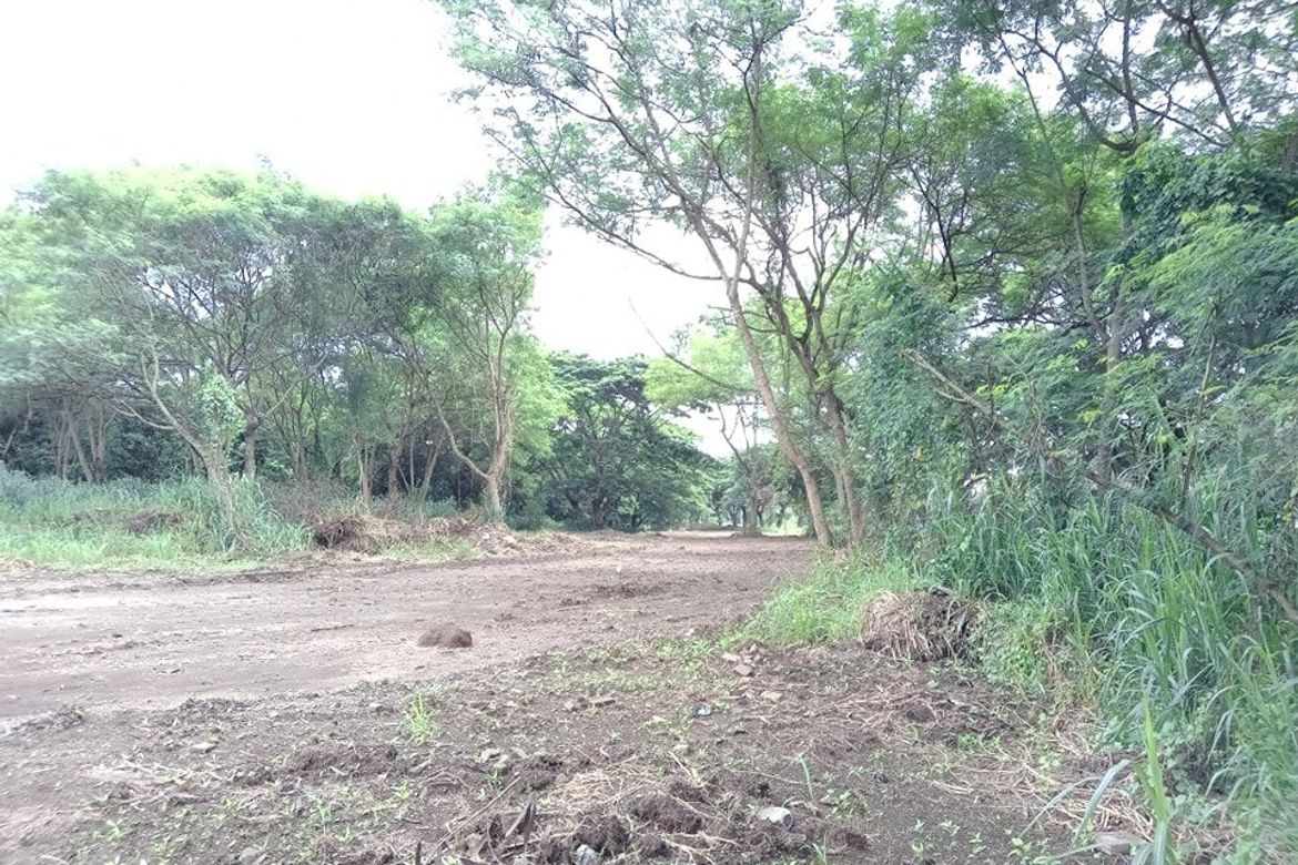 Land for Sale in Canlubang, Calamba, Laguna – photo 7