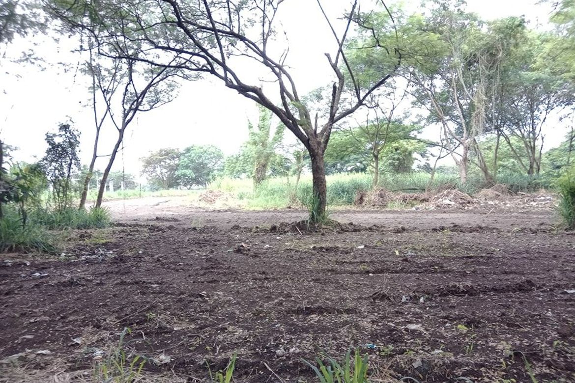 Land for Sale in Canlubang, Calamba, Laguna – photo 8