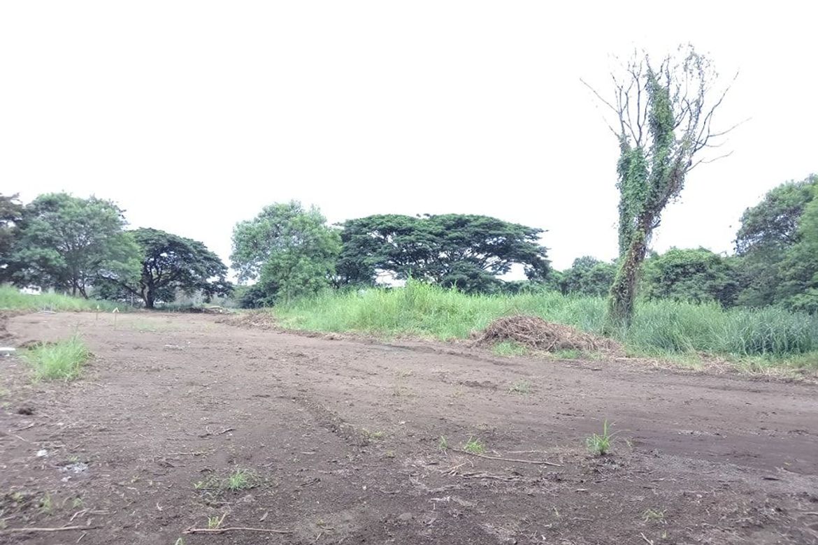 Land for Sale in Canlubang, Calamba, Laguna – photo 3
