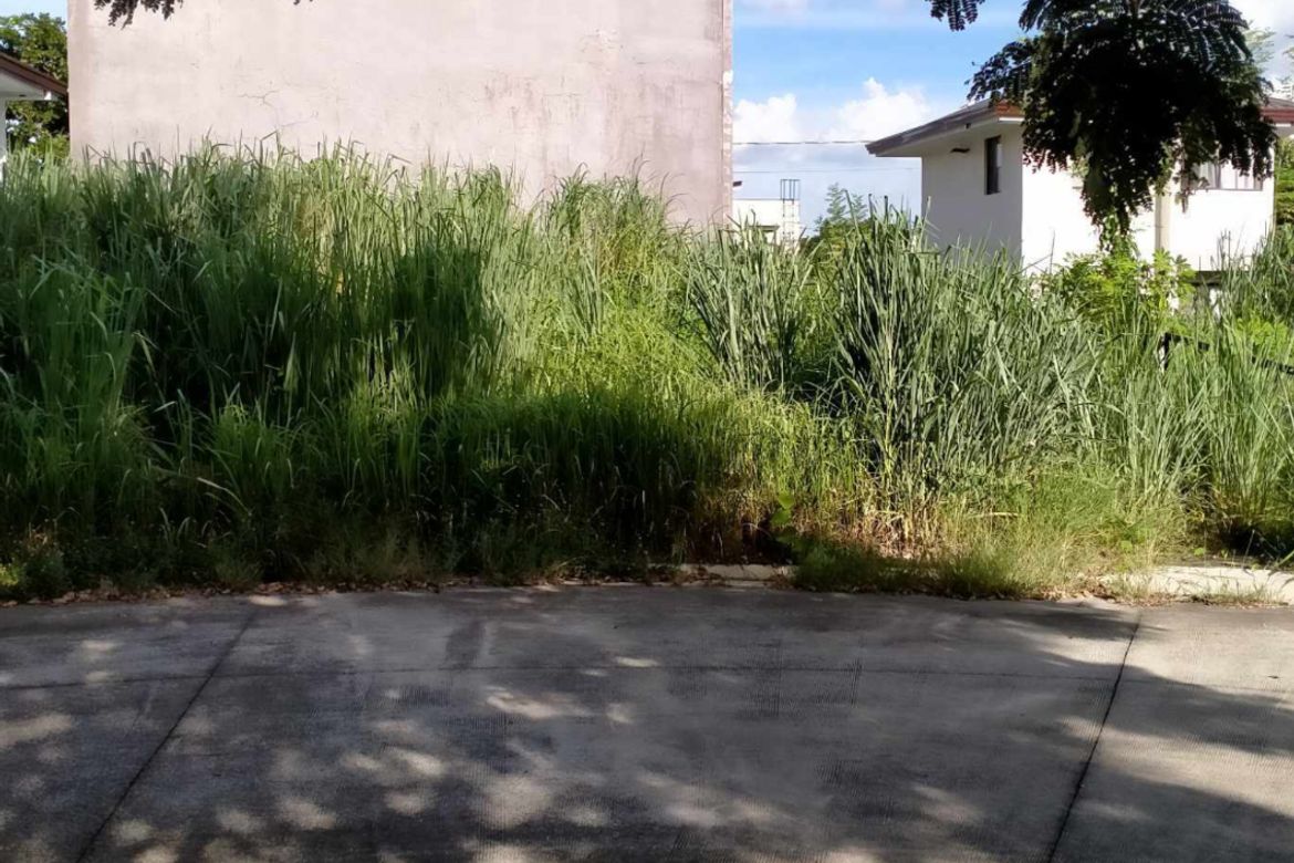 Land for Sale in Canlubang, Calamba, Laguna
