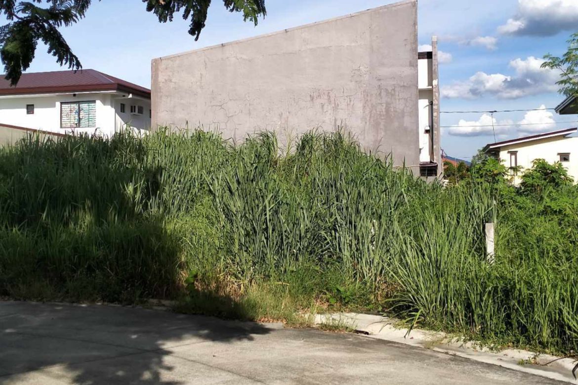 Land for Sale in Canlubang, Calamba, Laguna – photo 2