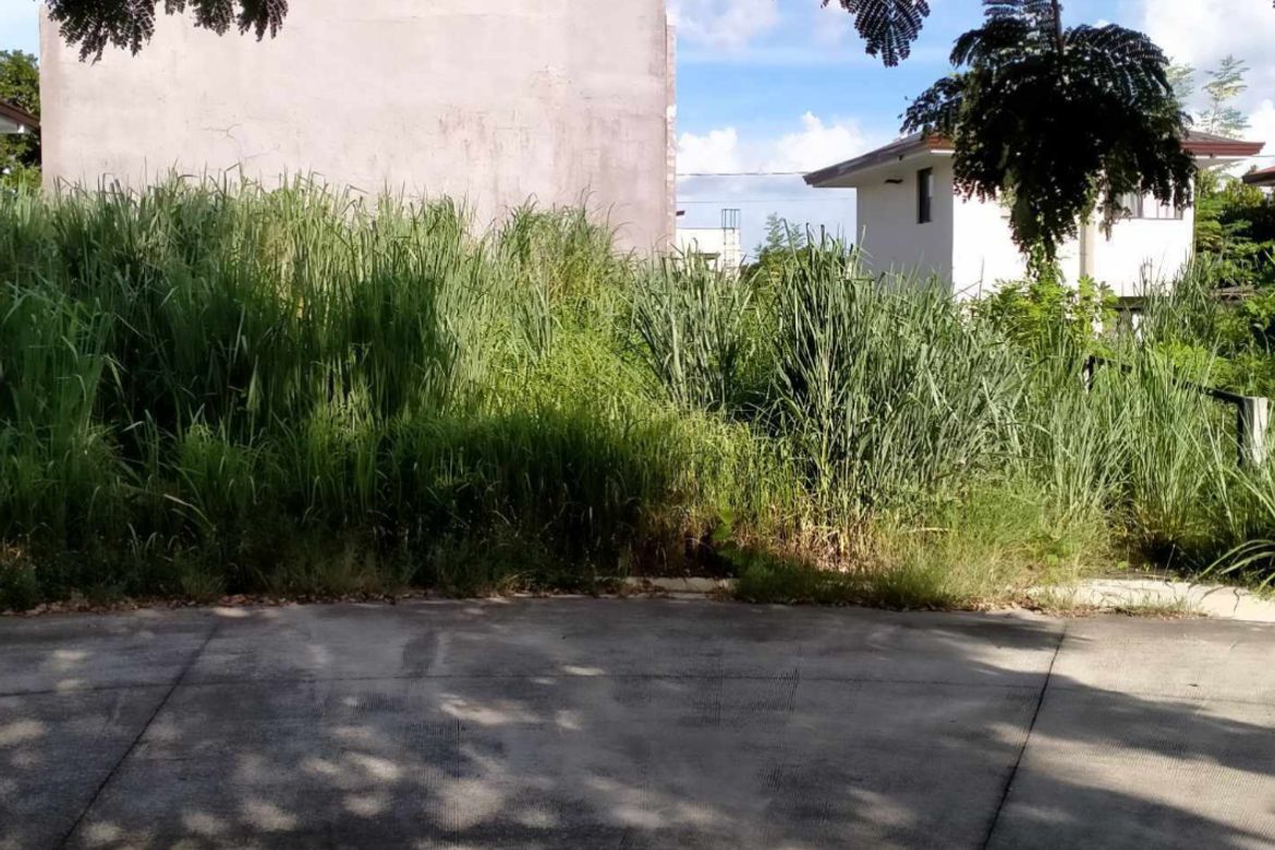 Land for Sale in Canlubang, Calamba, Laguna – photo 3