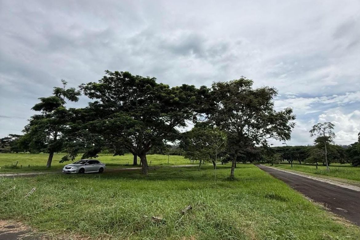 Land for Sale in Canlubang, Calamba, Laguna – photo 2