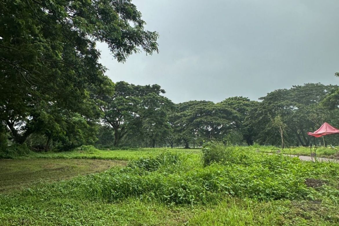 Land for Sale in Canlubang, Calamba, Laguna