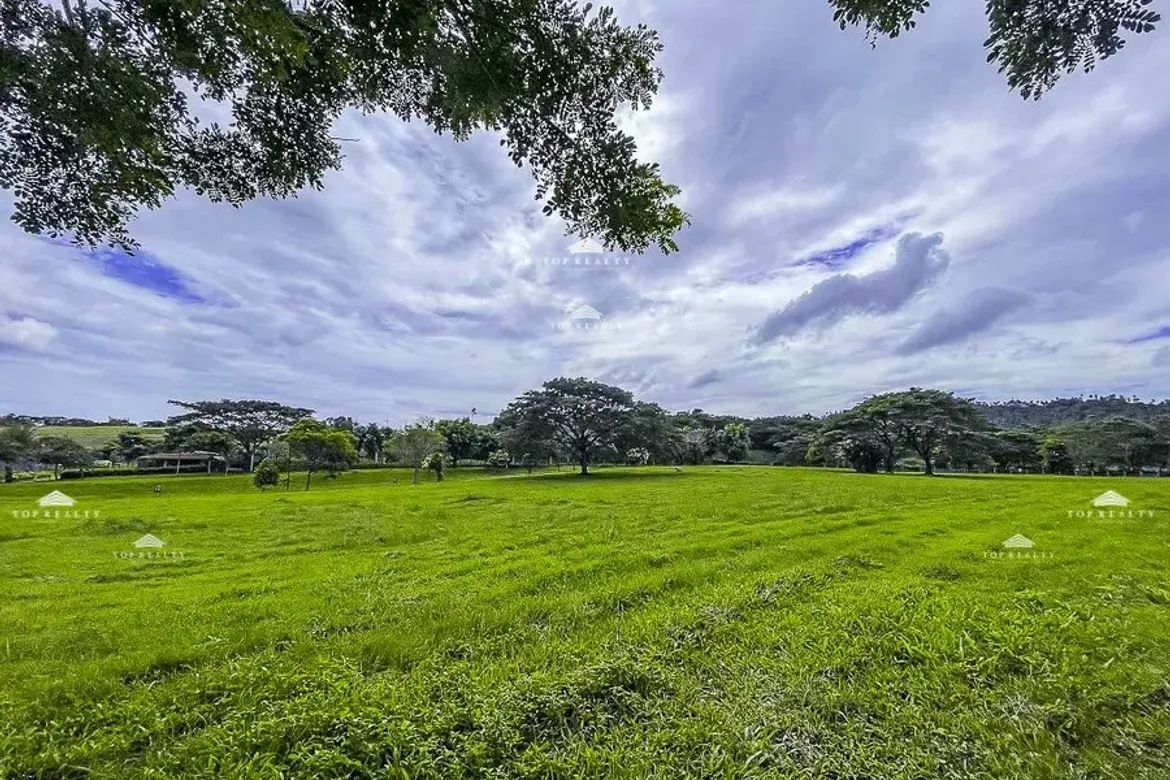 Land for Sale in Canlubang, Calamba, Laguna – photo 6