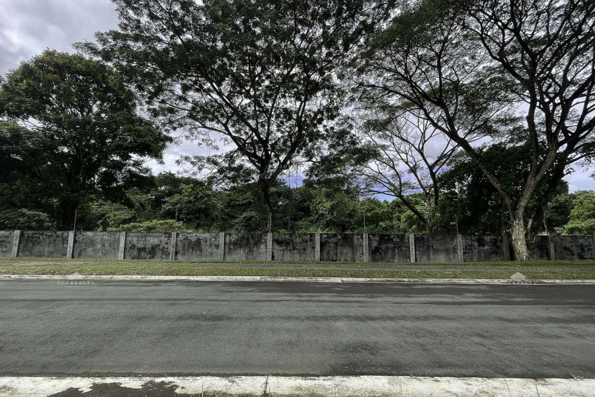 Land for Sale in Canlubang, Calamba, Laguna – photo 4