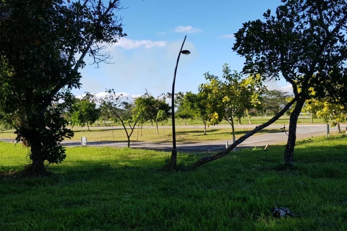 Land for Sale in Canlubang, Calamba, Laguna – photo 4
