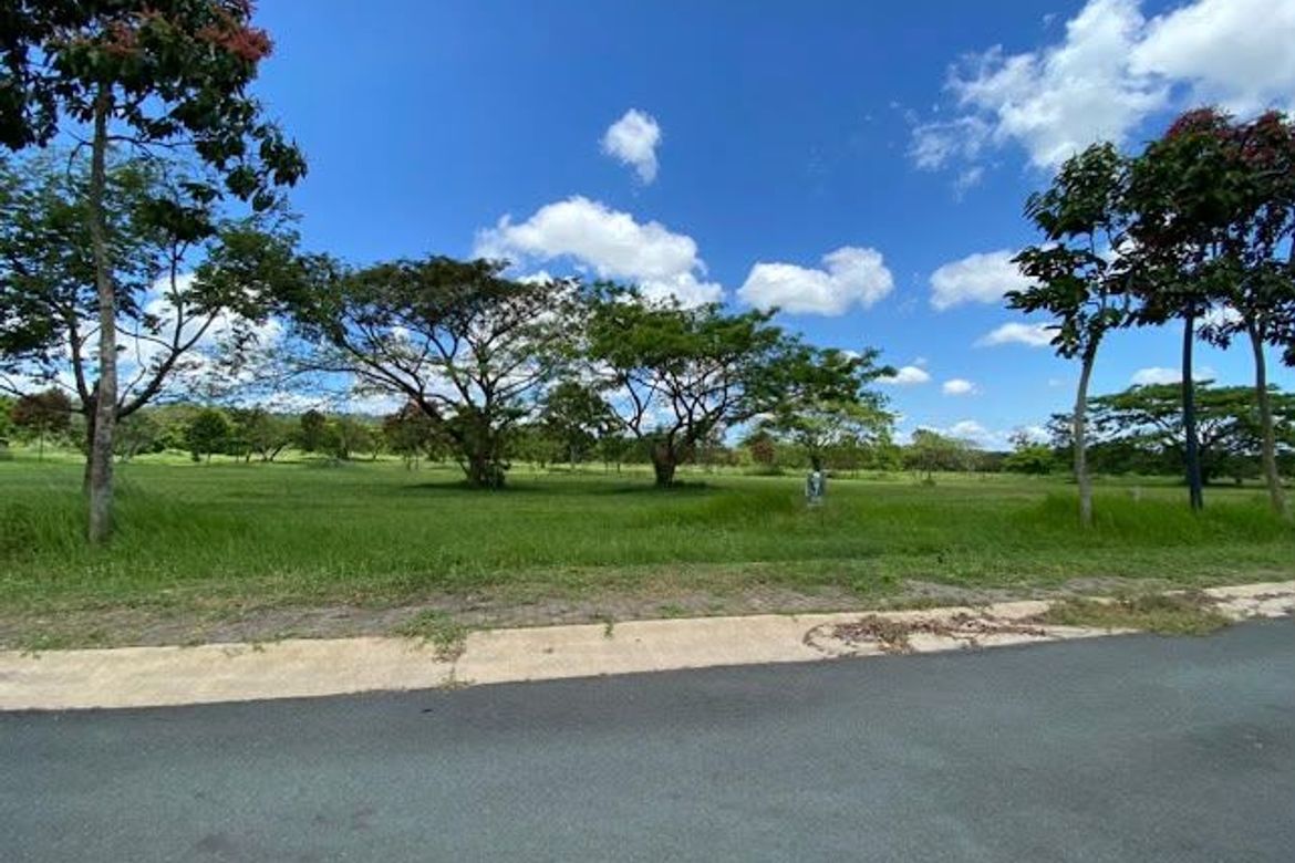 Land for Sale in Canlubang, Calamba, Laguna – photo 4