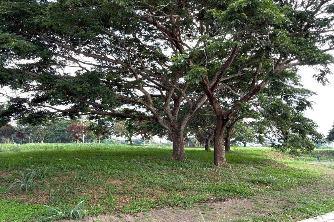 Land for Sale in Canlubang, Calamba, Laguna – photo 3