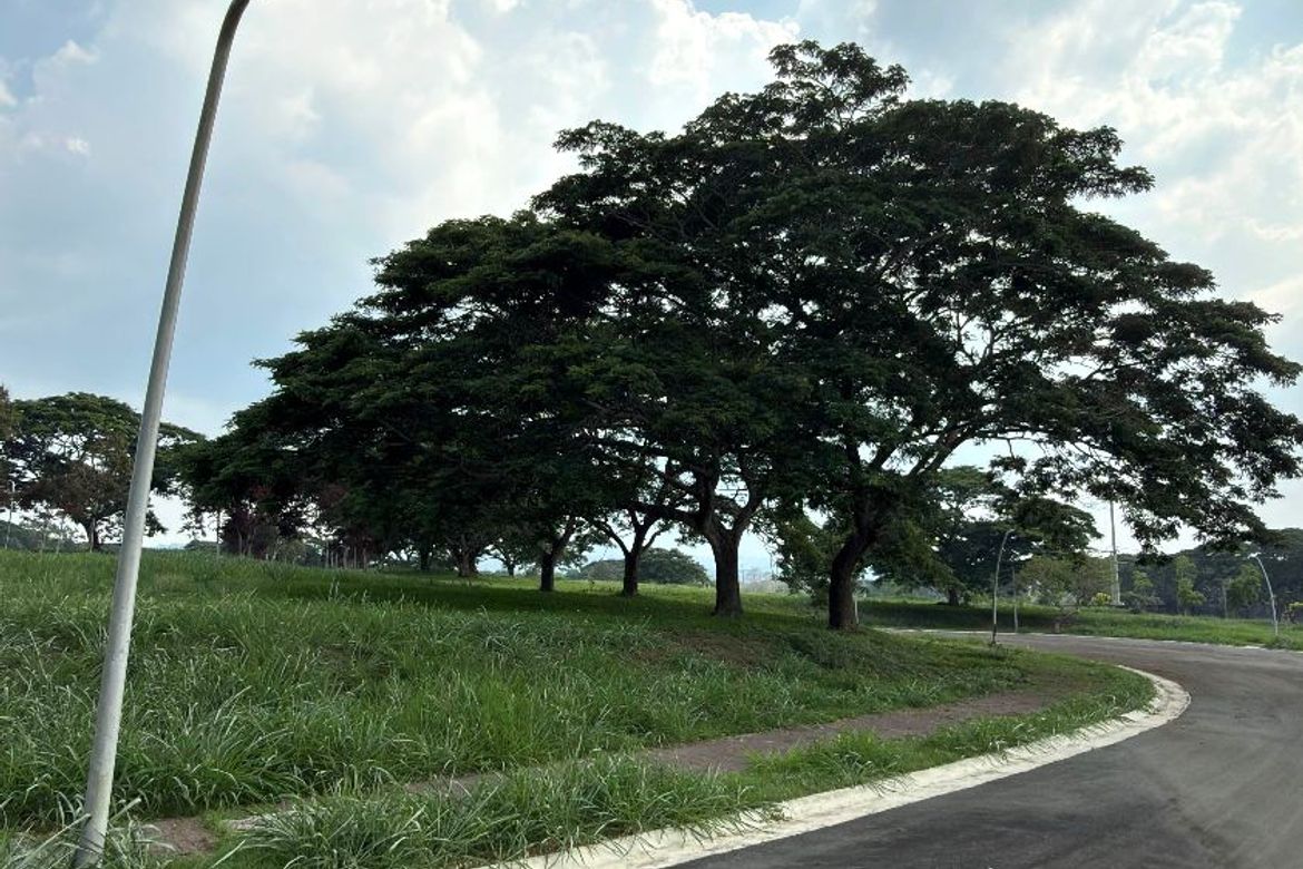 Land for Sale in Canlubang, Calamba, Laguna – photo 4