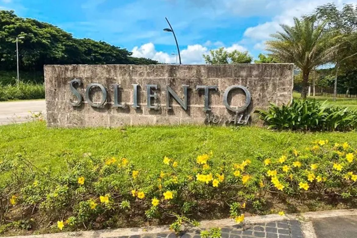 Land for Sale in Canlubang, Calamba, Laguna – photo 2