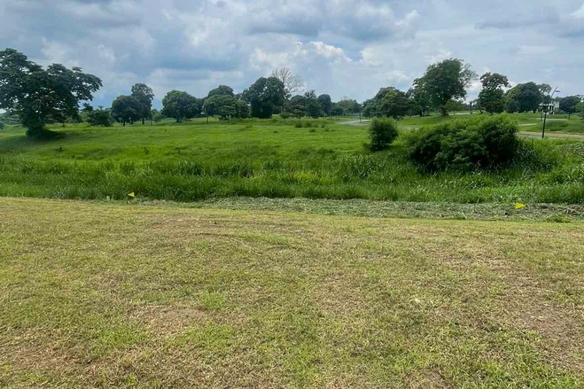 Land for Sale in Canlubang, Calamba, Laguna – photo 2