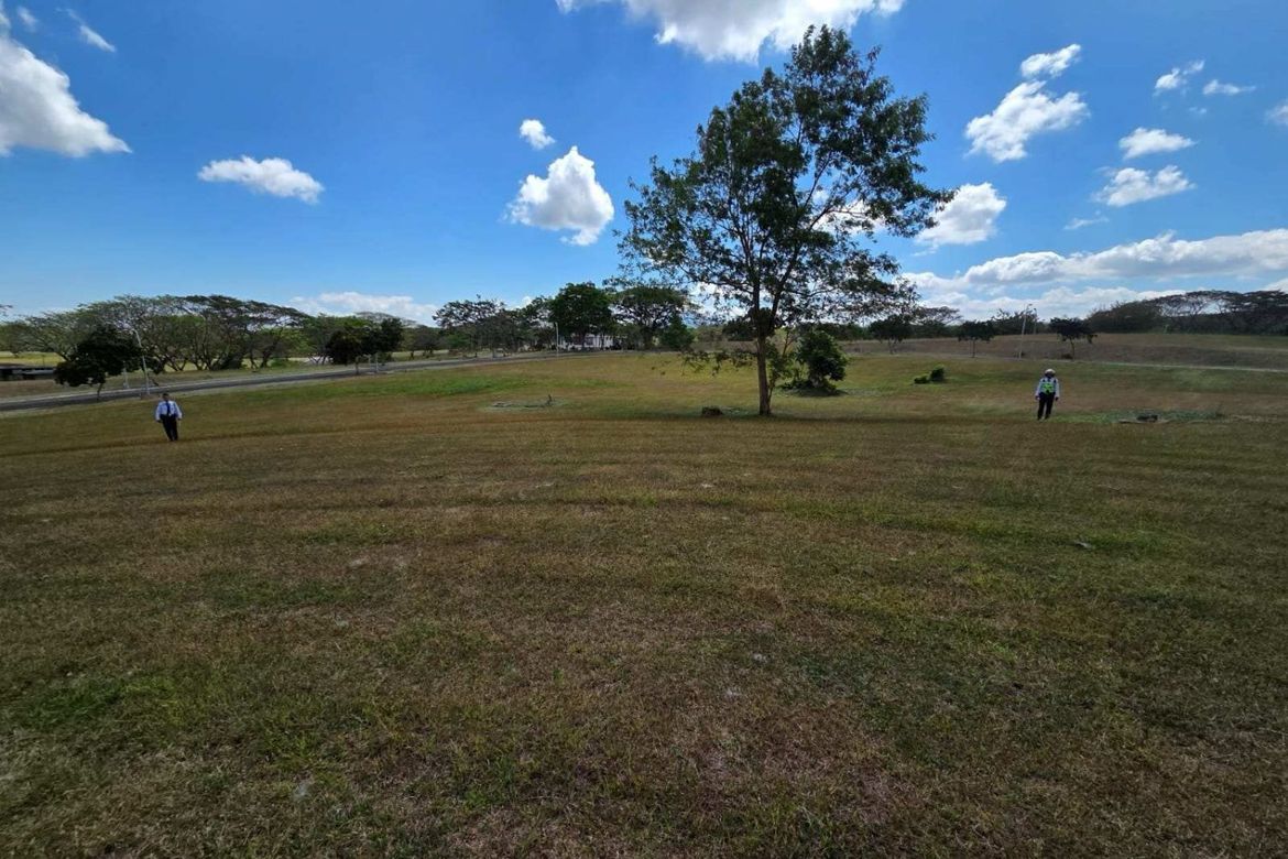 Land for Sale in Canlubang, Calamba, Laguna – photo 2