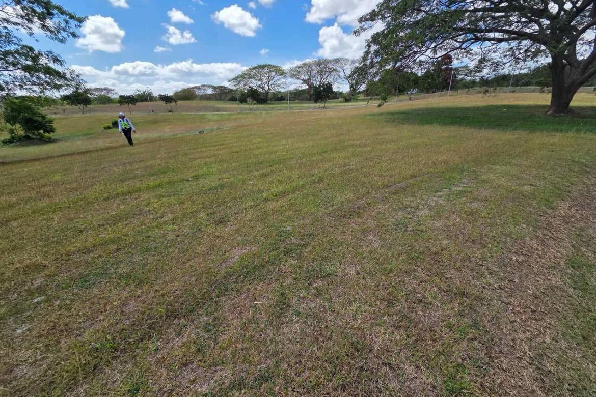 Land for Sale in Canlubang, Calamba, Laguna – photo 3