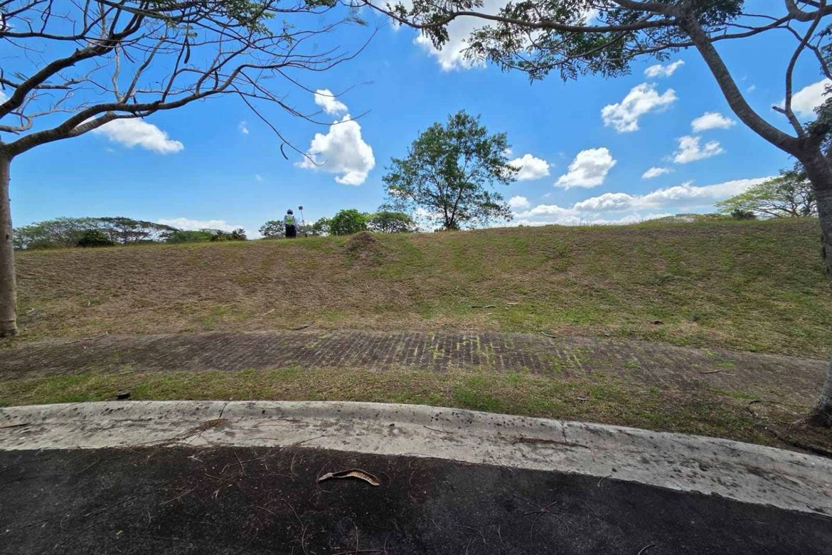 Land for Sale in Canlubang, Calamba, Laguna – photo 4