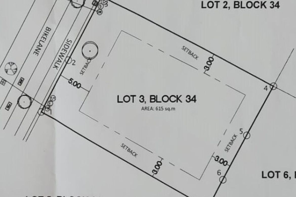 Land for Sale in Canlubang, Calamba, Laguna – photo 3