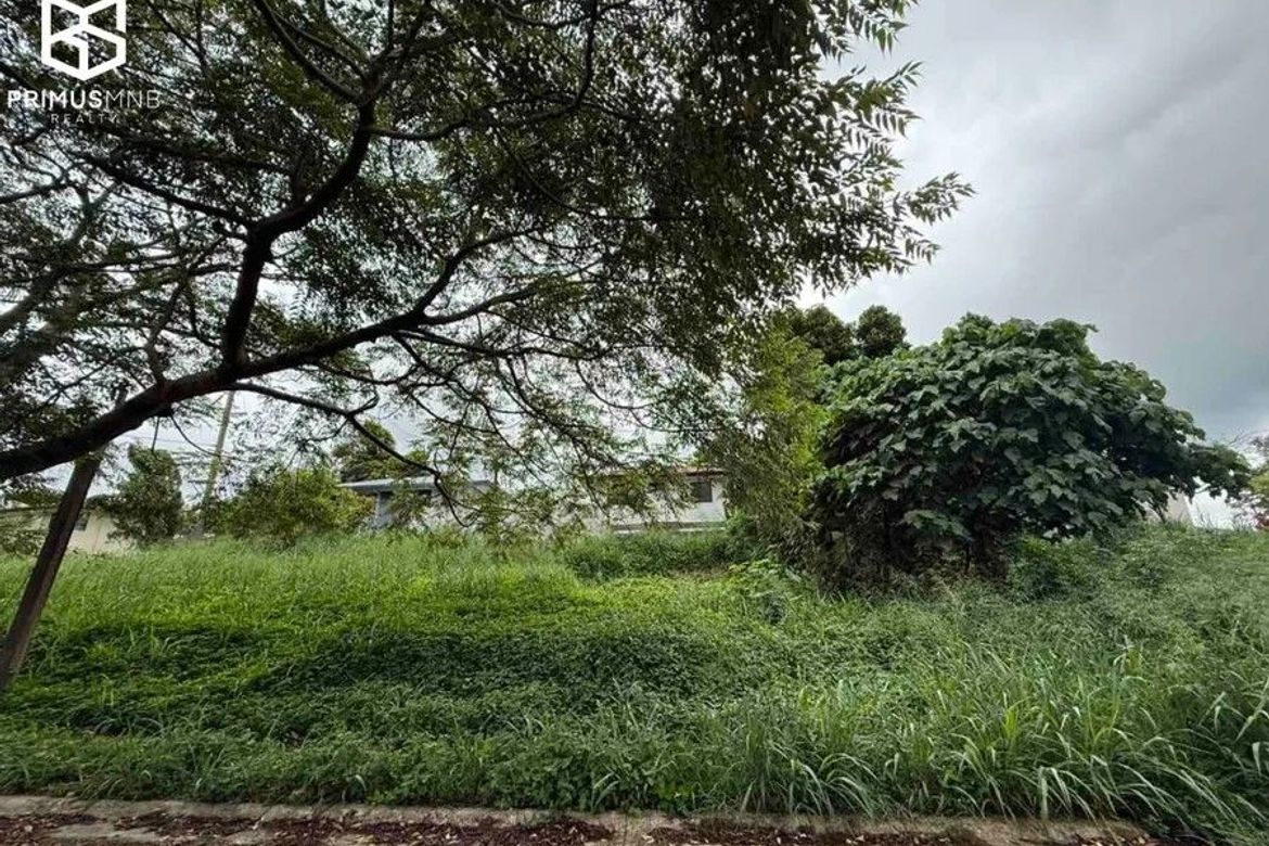 Land for Sale in Canlubang, Calamba, Laguna – photo 2