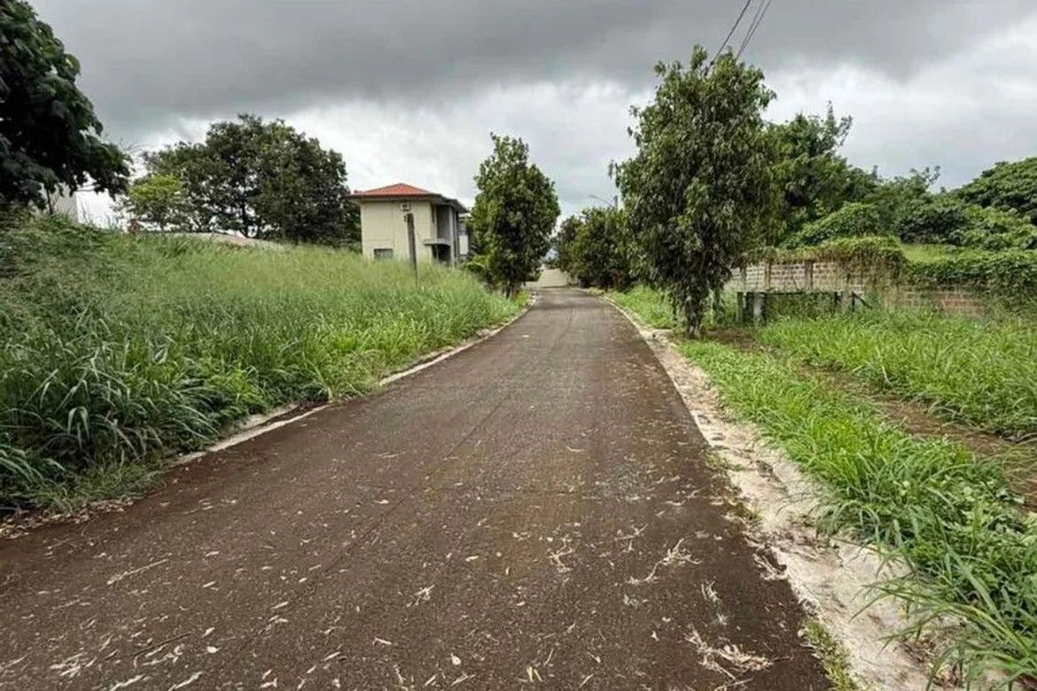 Land for Sale in Canlubang, Calamba, Laguna – photo 4
