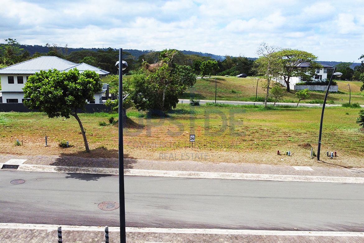 Land for Sale in Canlubang, Calamba, Laguna – photo 3