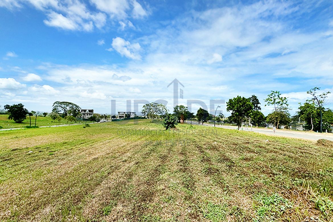 Land for Sale in Canlubang, Calamba, Laguna – photo 4
