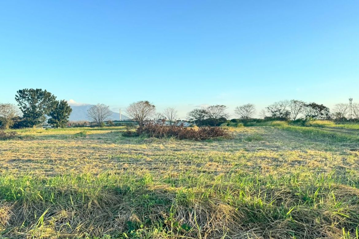 Land for Sale in Canlubang, Calamba, Laguna – photo 3