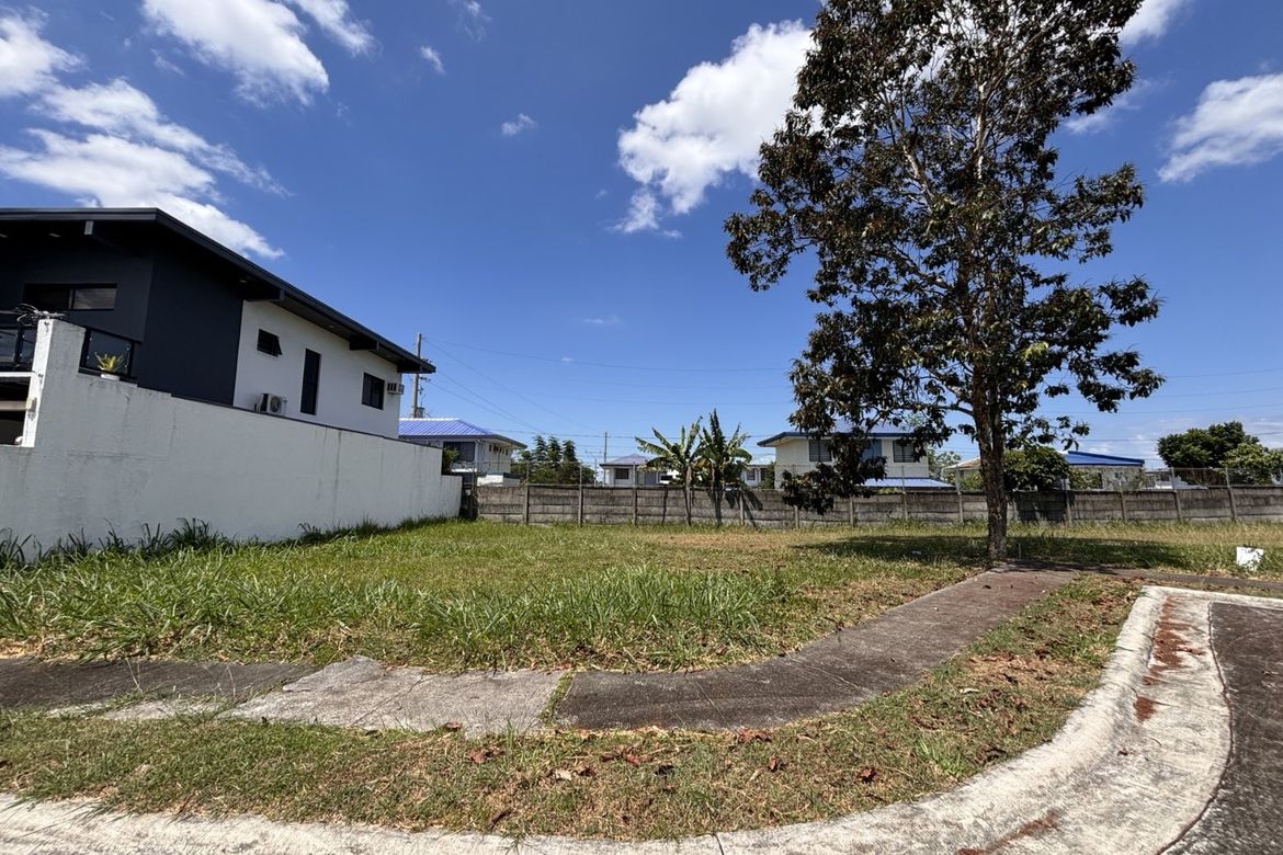 Land for Sale in Canlubang, Calamba, Laguna