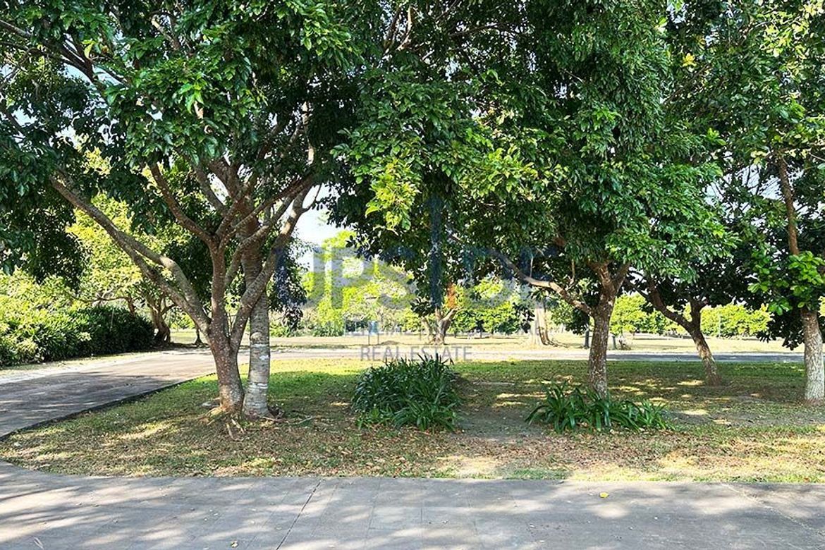 Land for Sale in Canlubang, Calamba, Laguna – photo 2