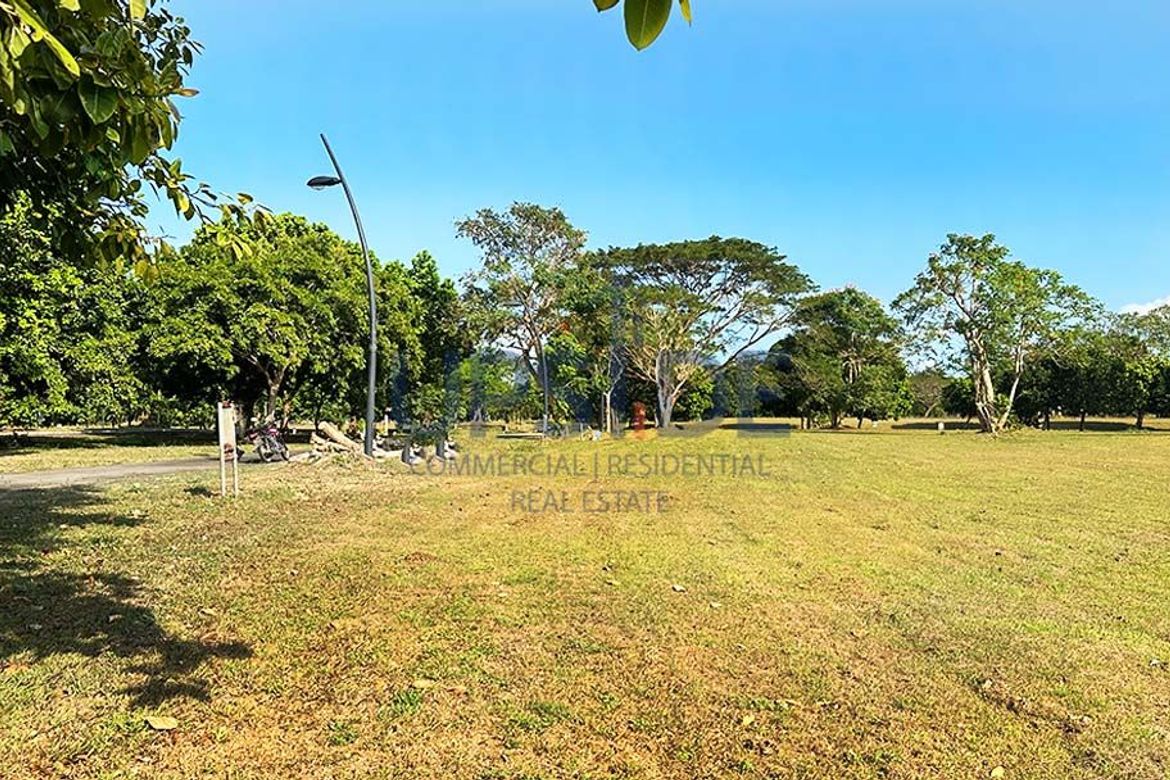 Land for Sale in Canlubang, Calamba, Laguna – photo 6