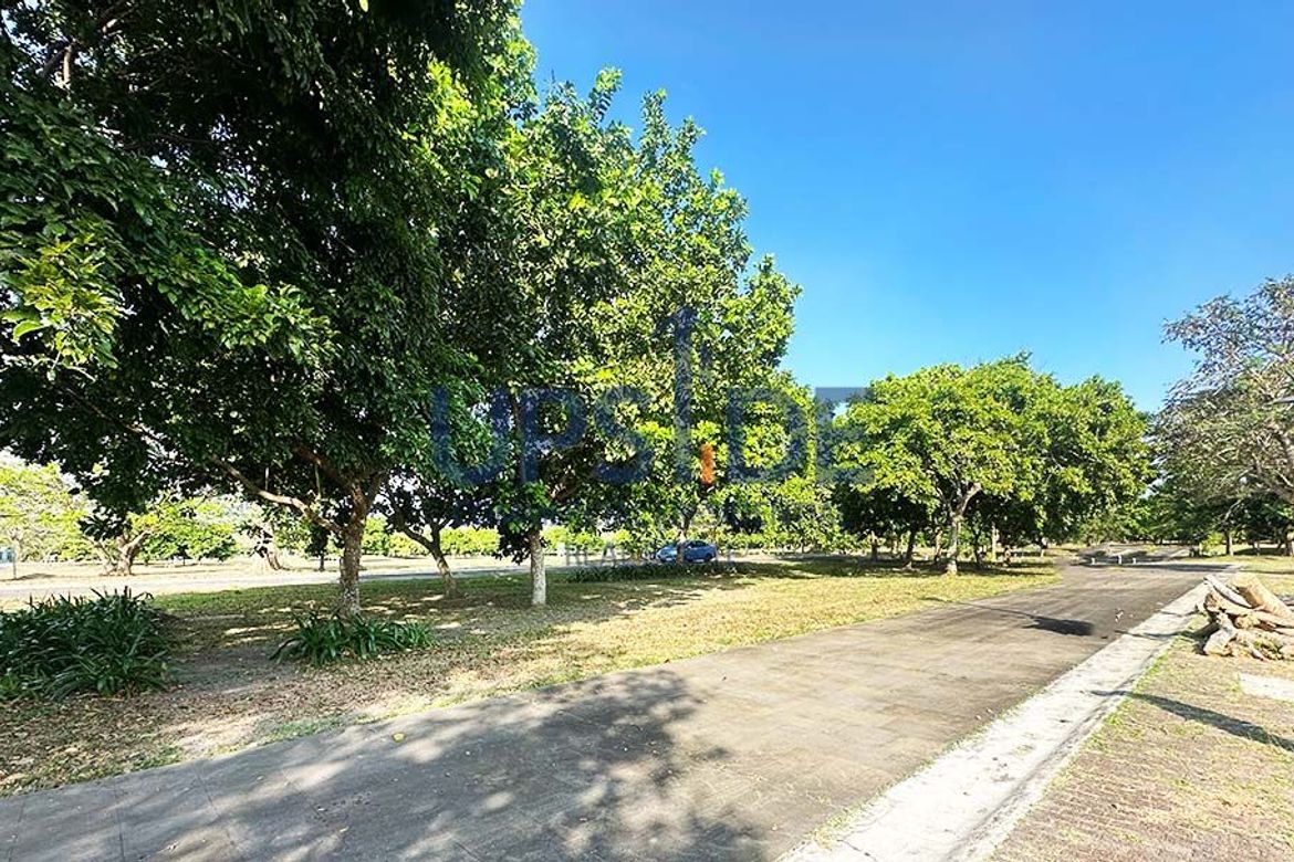 Land for Sale in Canlubang, Calamba, Laguna – photo 7
