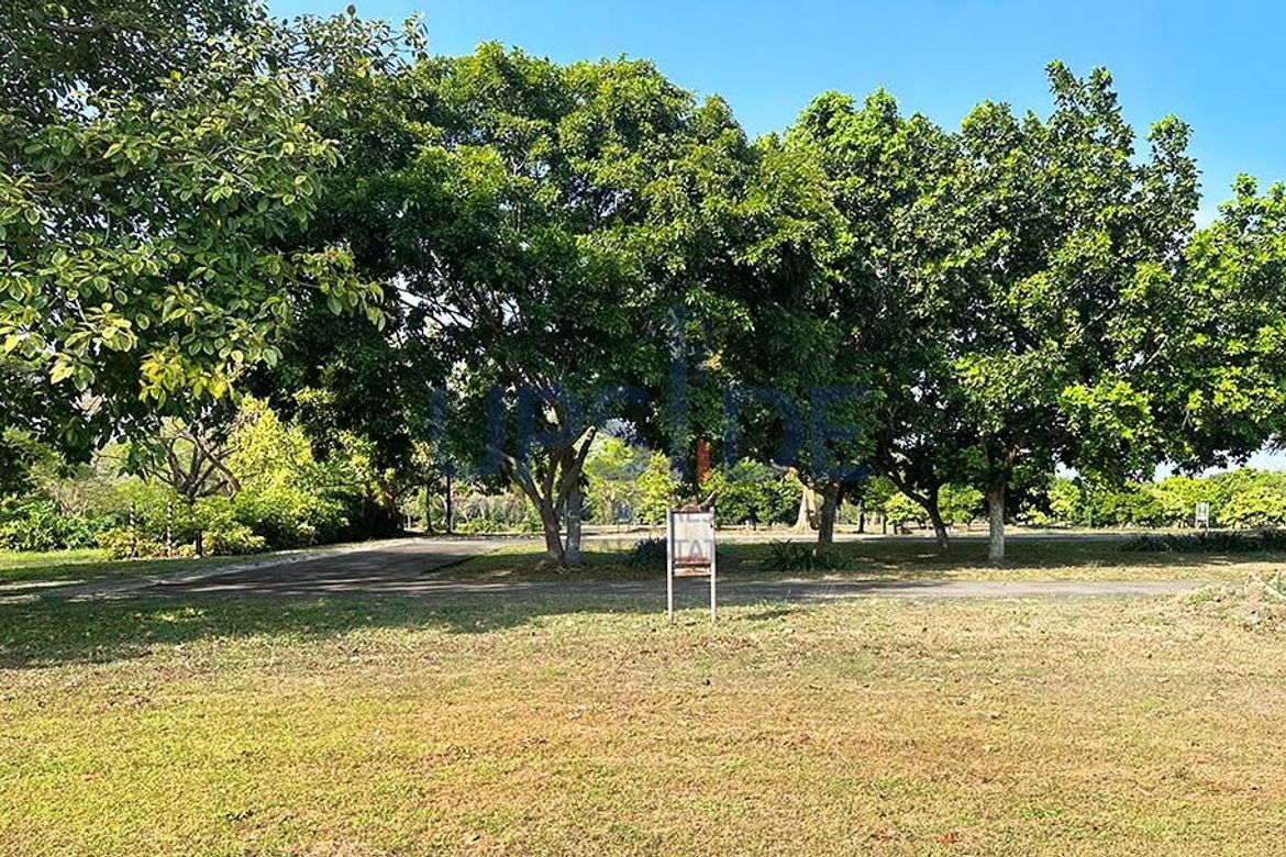 Land for Sale in Canlubang, Calamba, Laguna – photo 8