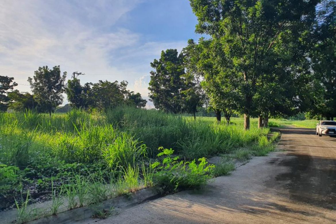 Land for Sale in Canlubang, Calamba, Laguna – photo 6