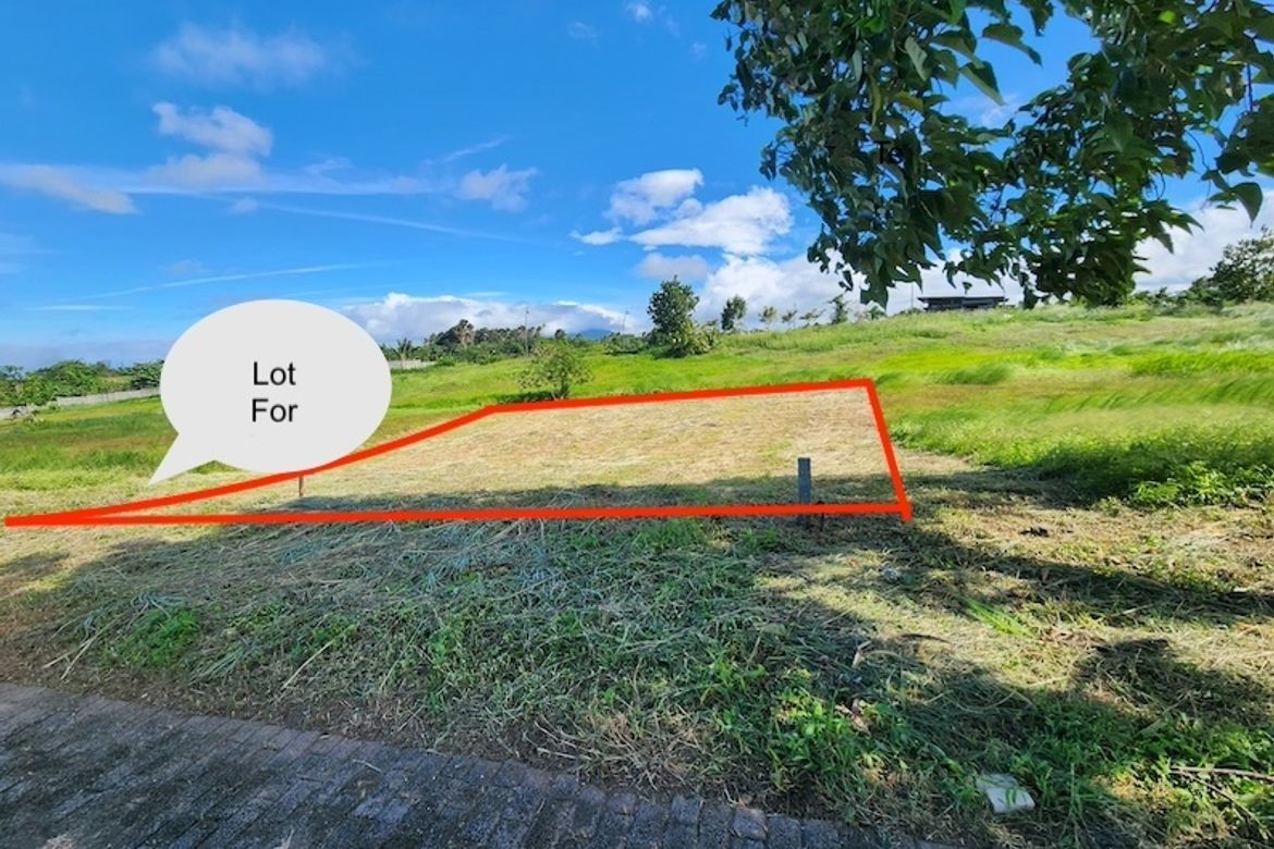 Land for Sale in Canlubang, Calamba, Laguna – photo 2