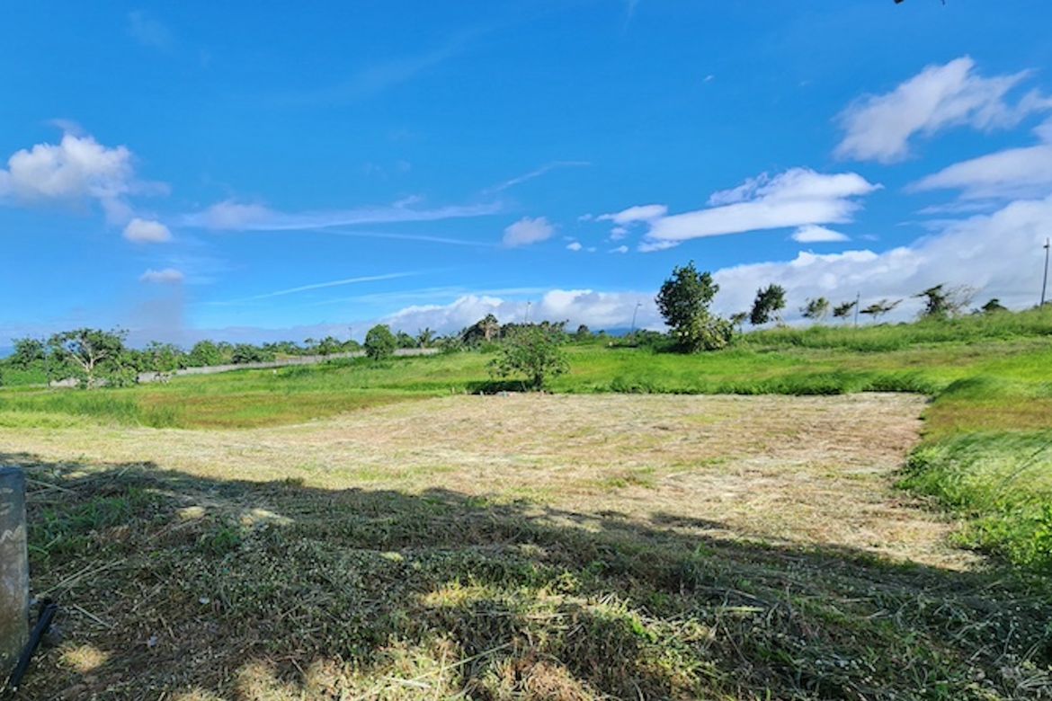 Land for Sale in Canlubang, Calamba, Laguna – photo 6