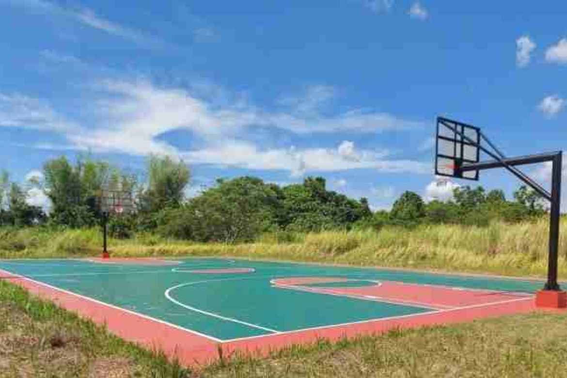 Land for Sale in Canlubang, Calamba, Laguna – photo 6
