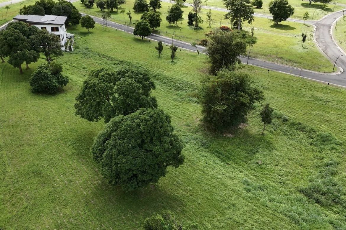 Land for Sale in Canlubang, Calamba, Laguna – photo 4