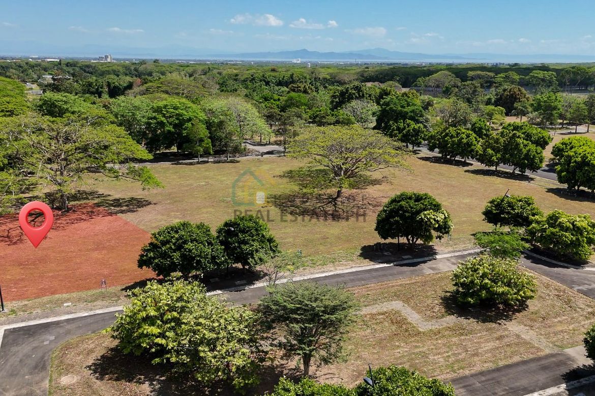 Land for Sale in Canlubang, Calamba, Laguna – photo 4