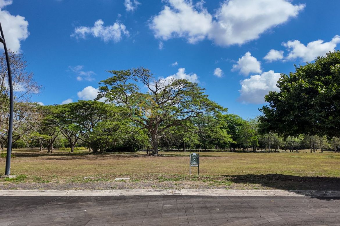 Land for Sale in Canlubang, Calamba, Laguna – photo 6