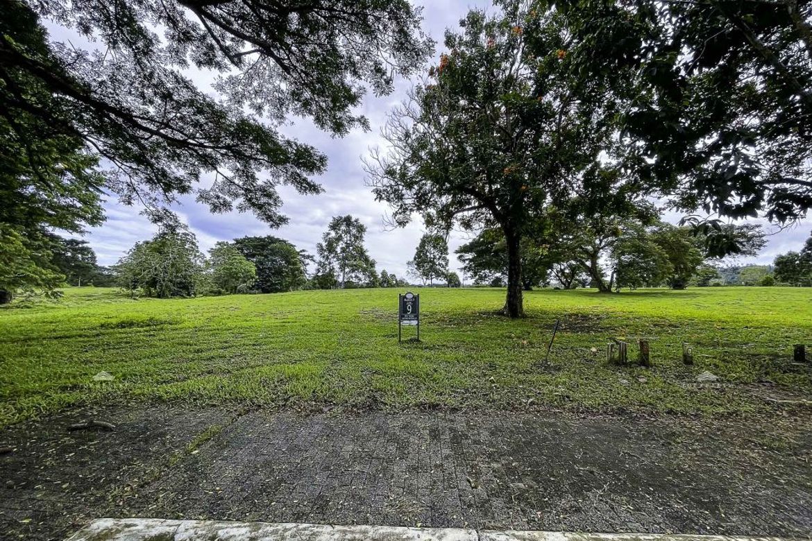 Land for Sale in Canlubang, Calamba, Laguna – photo 5